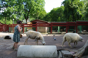    Киевский зоопарк