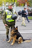  Киев, собака-підривник у заслоні національної гвардії та поліції  на вул. Грушевського 17 октября 2017г.