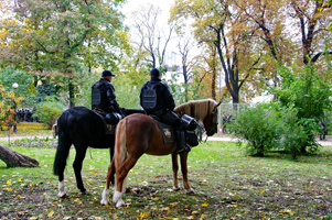  Киев, пикет конной полиции возле Верховной Рады 17 октября 2017г.