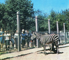 Київський зоопарк 1970-х років